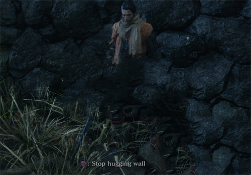 《只狼：影逝二度》原生PS4按键提示补丁(图2)