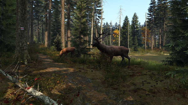 DayZ(图1)