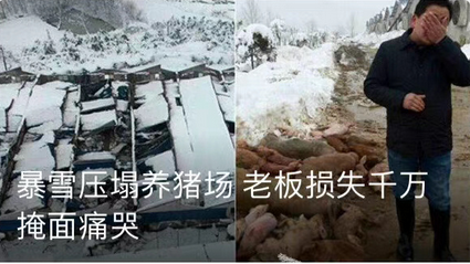 暴雪、网易业务中断结束15年合作 WOW玩家重温换代理停服？(图8)