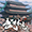 武林志测试版五项修改器