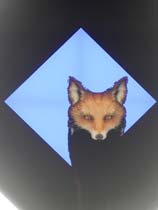 裂缝