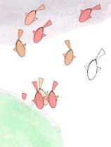孔雀鱼