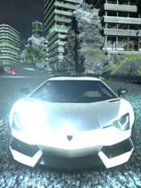 納什赛车
