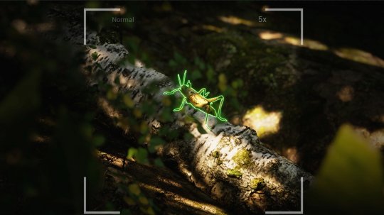 模拟游戏《Morels: The Hunt 2》Steam页面上线 明年发售(图2)