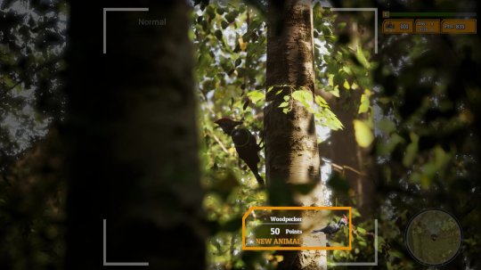 模拟游戏《Morels: The Hunt 2》Steam页面上线 明年发售(图8)
