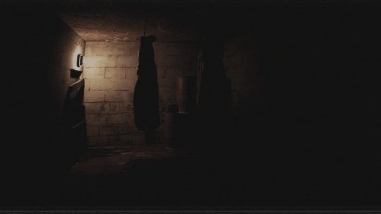 《Paranormal VHS》登陆steam VHS摄录系恐怖新游(图3)