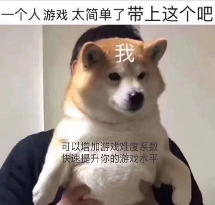 物种已经不受限制？一只会打游戏的狗 要参加速通大赛募捐(图1)