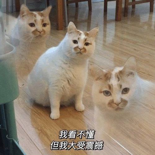 开放世界给他玩明白了 老头环明星玩家找代练 用美刀换等级(图2)