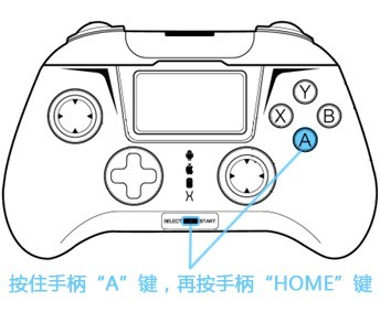 小鸡模拟器破解版(图6)