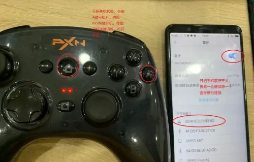 小鸡模拟器2023最新版下载(图3)