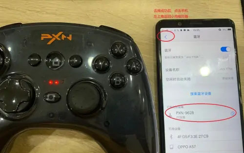 小鸡模拟器2023最新版下载(图4)