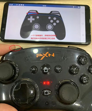 小鸡模拟器2023最新版下载(图6)