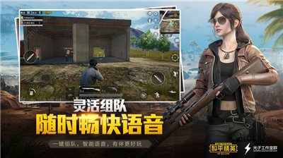 和平精英美化包免费版(图2)