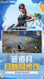 蓝龙美化包(图3)