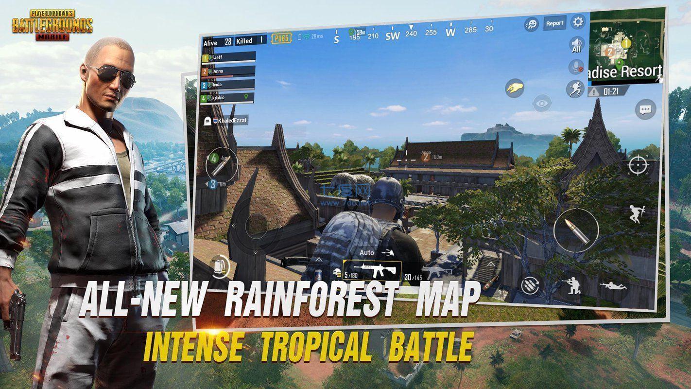 呆呆pubg辅助器(图2)