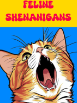 猫咪恶作剧
