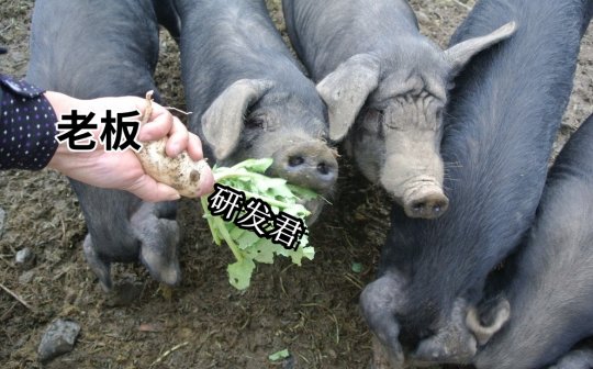 糟糕，全球“狗策划”都要被裁了！猪场发布的新AI游戏工具太超了(图2)