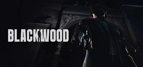黑木（BLACKWOOD）修改器